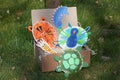 Dierenbox